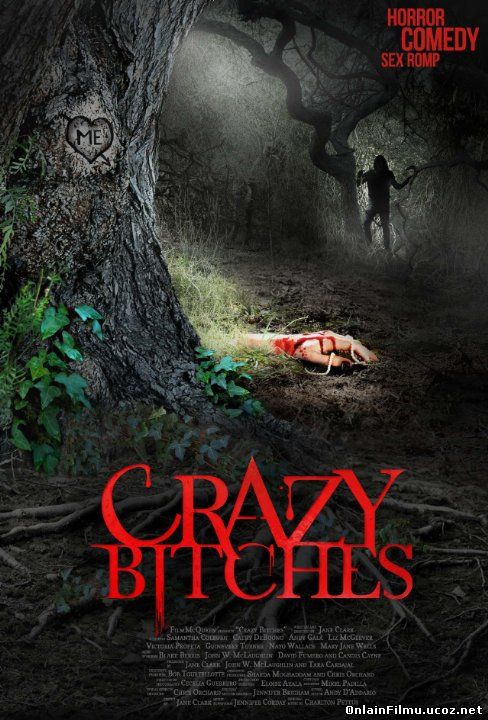 Сумасшедшие суки / Crazy Bitches (2014)